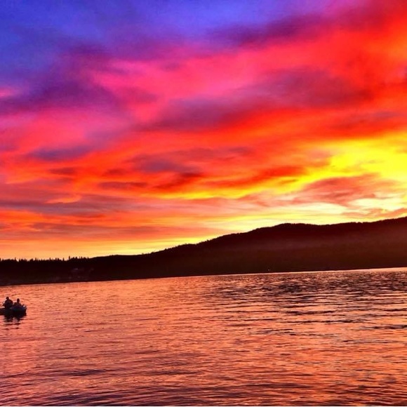 Meet your Posher, Amber - Picture 2 of 5